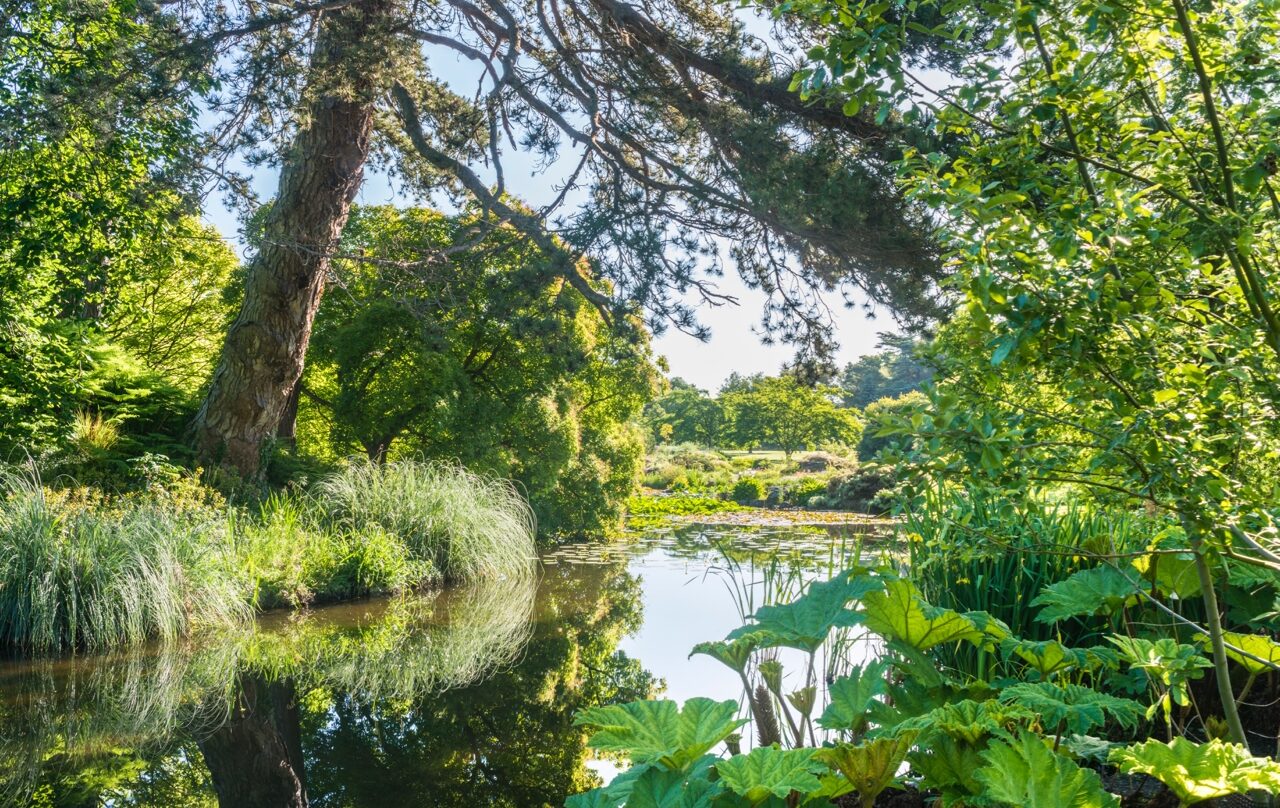 Jardín Botánico de Cambridge