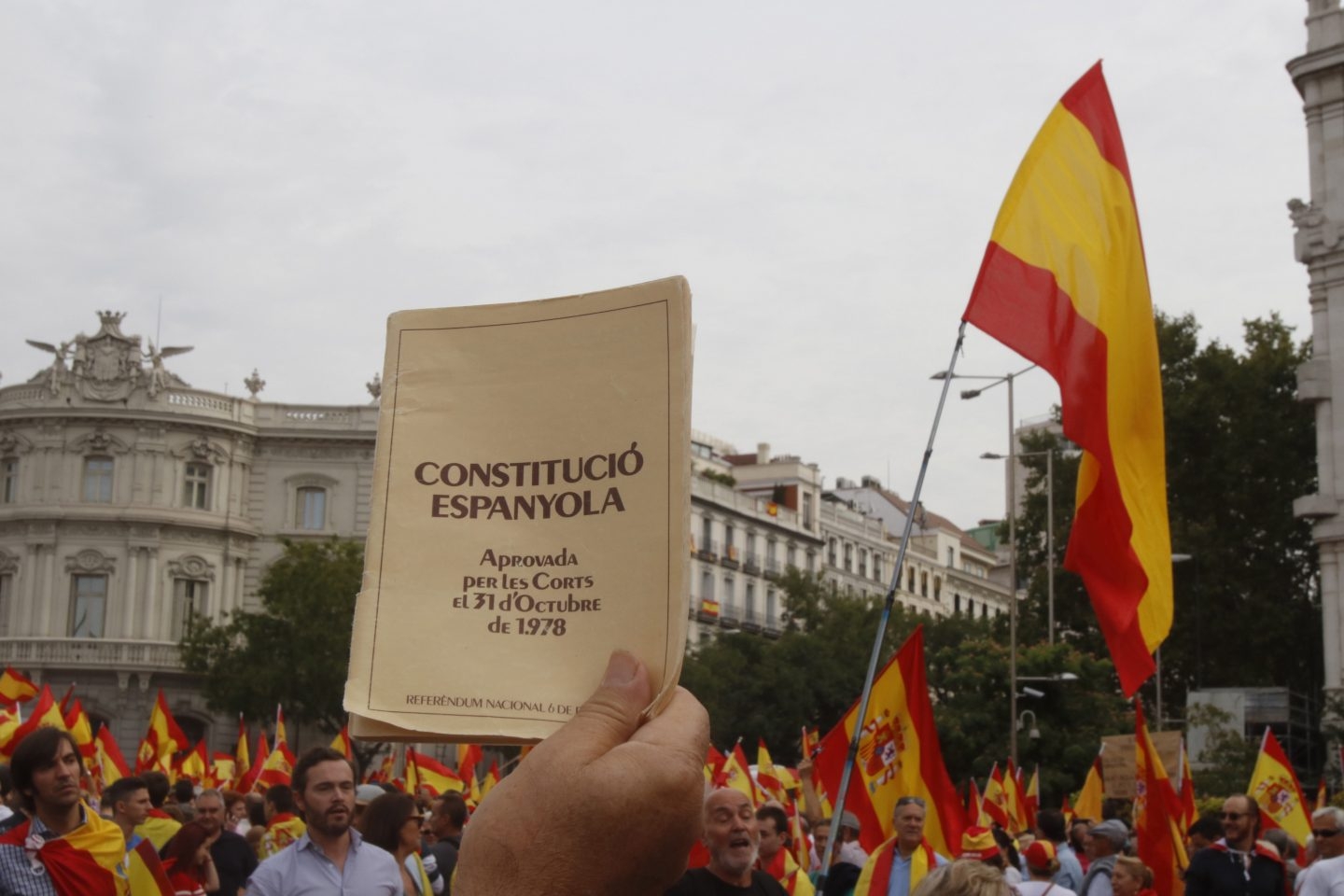 Simpatizantes de la Fundación para la Defensa de la Nación Española (DENAES), en la plaza de Cibeles durante la manifestación que protagonizaron hoy en Madrid contra el referéndum independentista del 1-O en Cataluña.