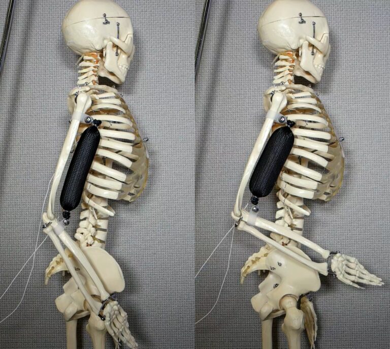 Los robots ya pueden tener músculos