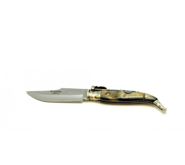 'Ongi etorri' a Albacete