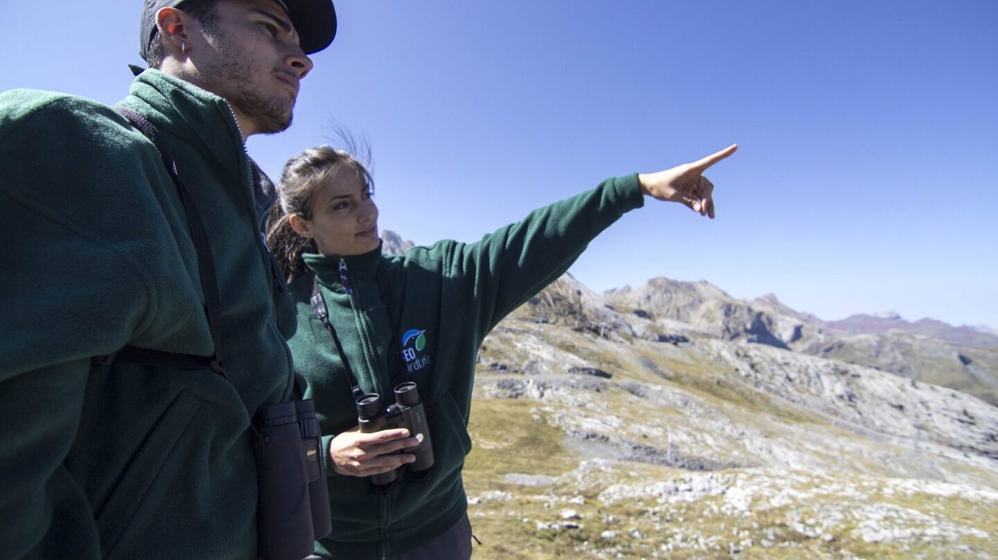 Técnicos de SEO/BirdLife