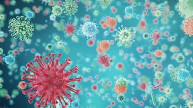 El riesgo de coronavirus en España es "muy bajo" según los expertos