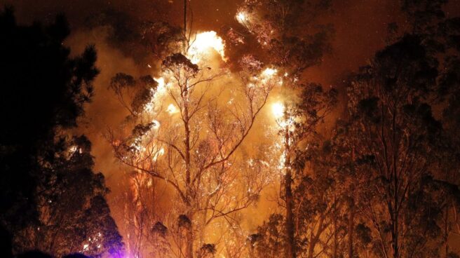 Uno de los incendios de la provincia gallega de Pontevedra.