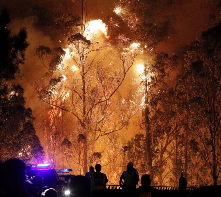 Alrededor de 460.000 españoles podrían ser pirómanos a lo largo de su vida