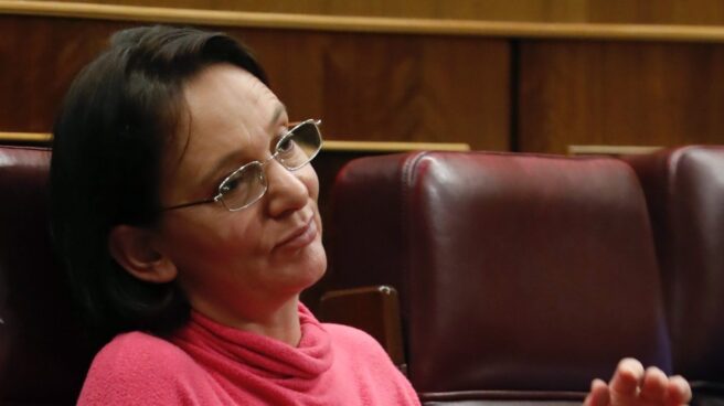 636445324385888090 Carolina Bescansa, esta semana en el Congreso de los Diputados.
