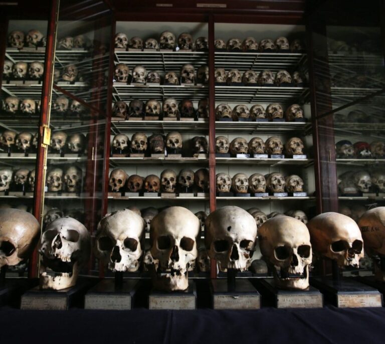 Los primeros canarios llegaron desde África