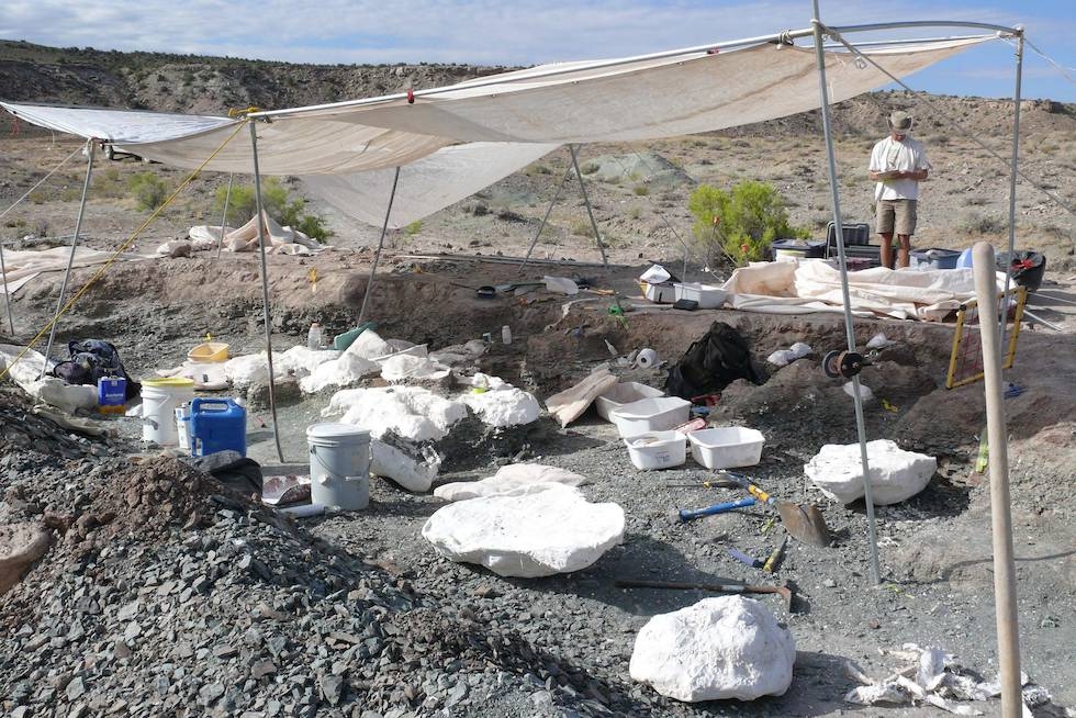 Excavación paleontológica de Mierasaurus bobyoungi en en el yacimiento Doelling's Bowl (Utah, EEUU), realizada por la Utah Geological Survey.