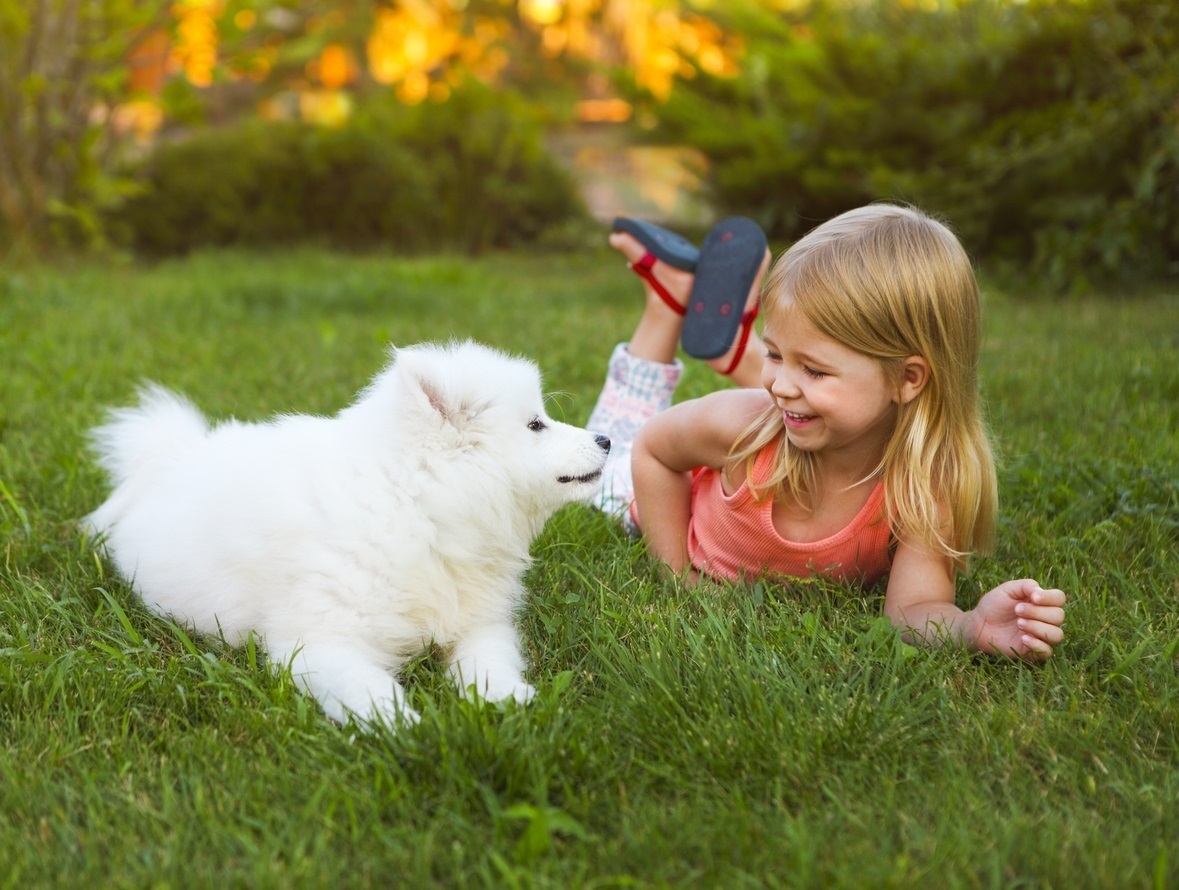 Un perro en compañía de una niña