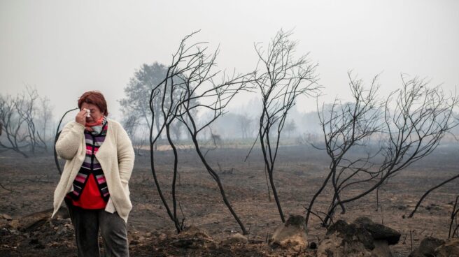 Incendio en Galicia: una mujer llora en Abelenda das Penas (Carballeda de Avia). Incendio en Galicia: una mujer llora en Abelenda das Penas (Carballeda de Avia).