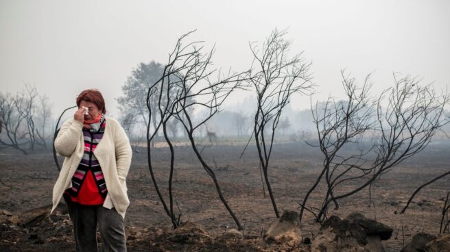 Detenido en Vigo el primer sospechoso de los incendios en Galicia