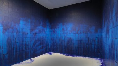 Bajo la piel del arte