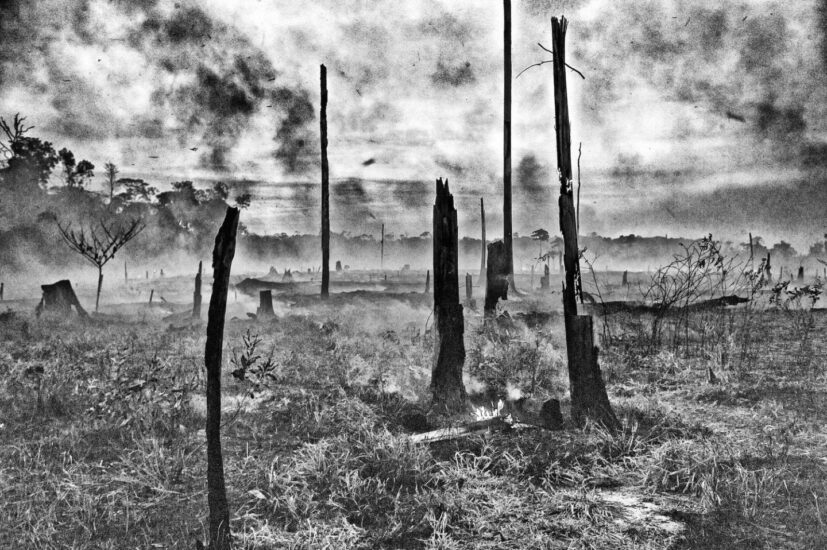 Los restos humeantes de un área de la selva amazónica que se despejaron para la ganadería. ©Hamilton James