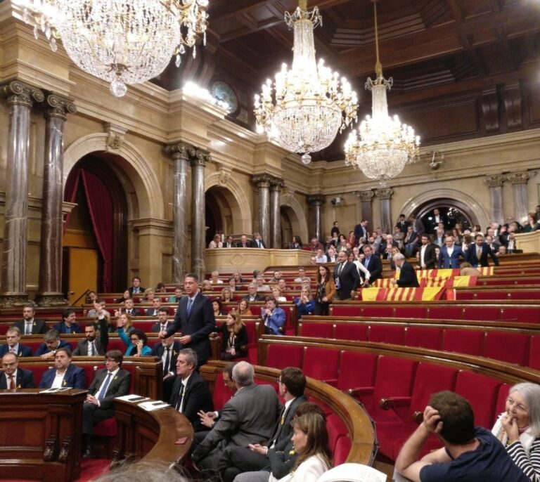El Constitucional anula la Declaración Unilateral de Independencia