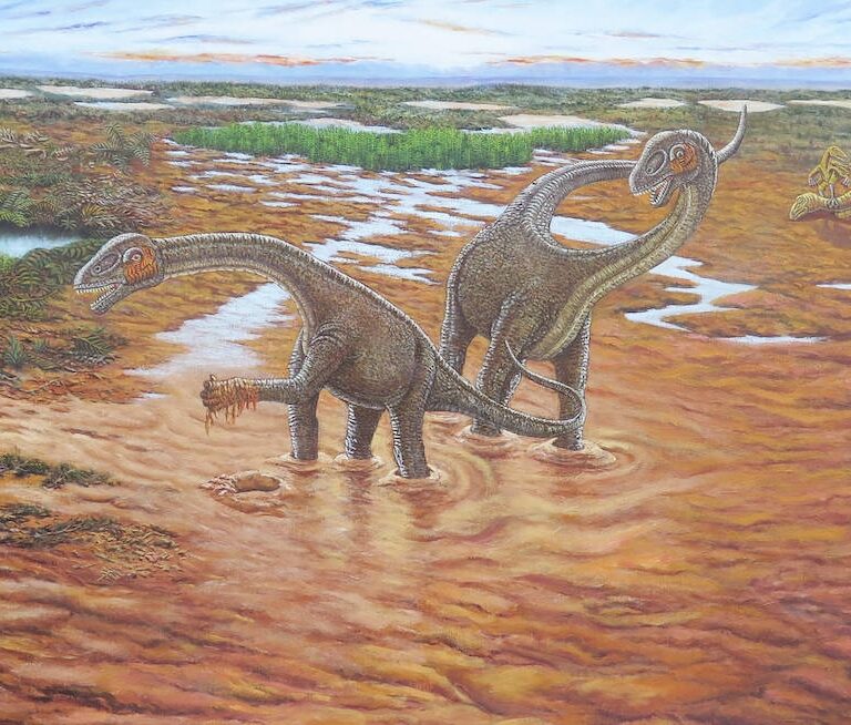 El dinosaurio que viajó a América hace 140 millones de años