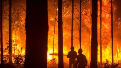 El cambio climático deja obsoleta la planificación antiincendios