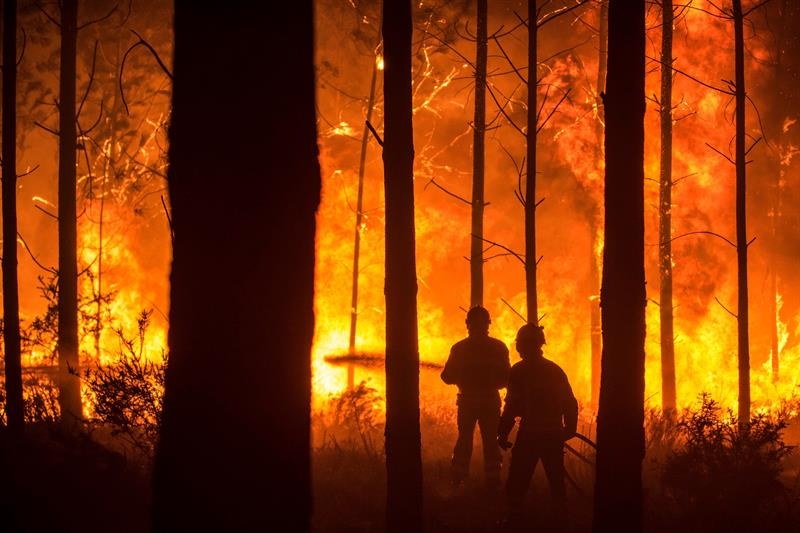 Un hombre lucha contra las llamas en un incendio forestal declarado en Vieira de Leiria en Marinha Grande (Portugal)