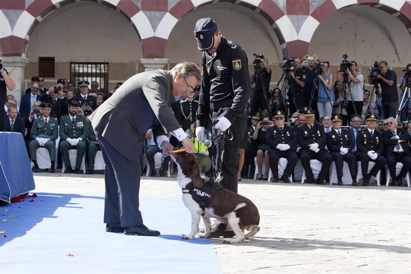 El ministro del Interior, Juan Ignacio Zoido, acaricia un perro de la Policía Nacional la pasada semana en Badajoz.