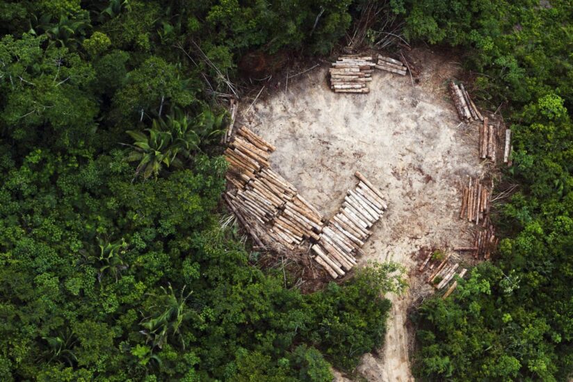 Zona indígena del amazonas amenazada por la explotación en la región brasileña de Altamira.