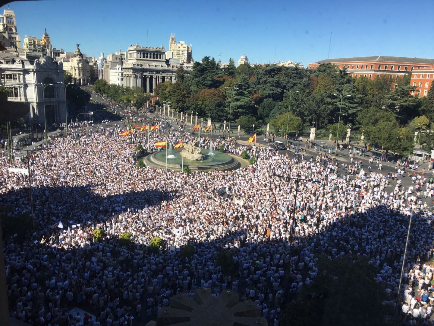 Concentración por el diálogo en la plaza de Cibeles.