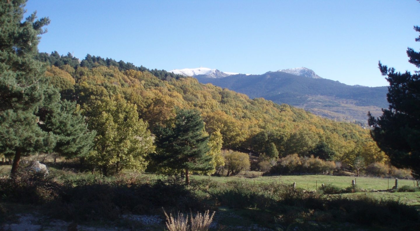 Sierra de Guadarrama