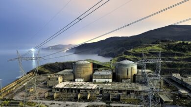 Lemóniz, de fortín nuclear a piscifactoría vigilada por dos agentes y un perro