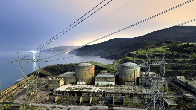 Lemóniz, de fortín nuclear a piscifactoría vigilada por dos agentes y un perro