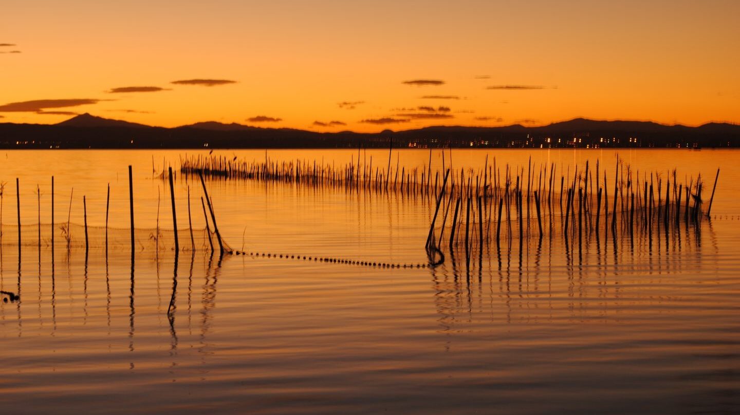 El difícil equilibrio de la Albufera de Valencia