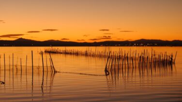 El difícil equilibrio de la Albufera de Valencia