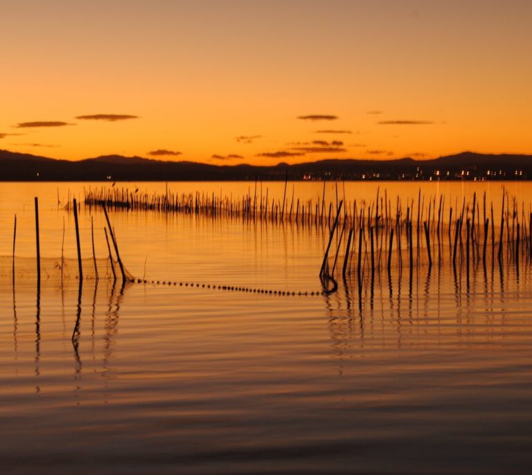 El difícil equilibrio de la Albufera de Valencia