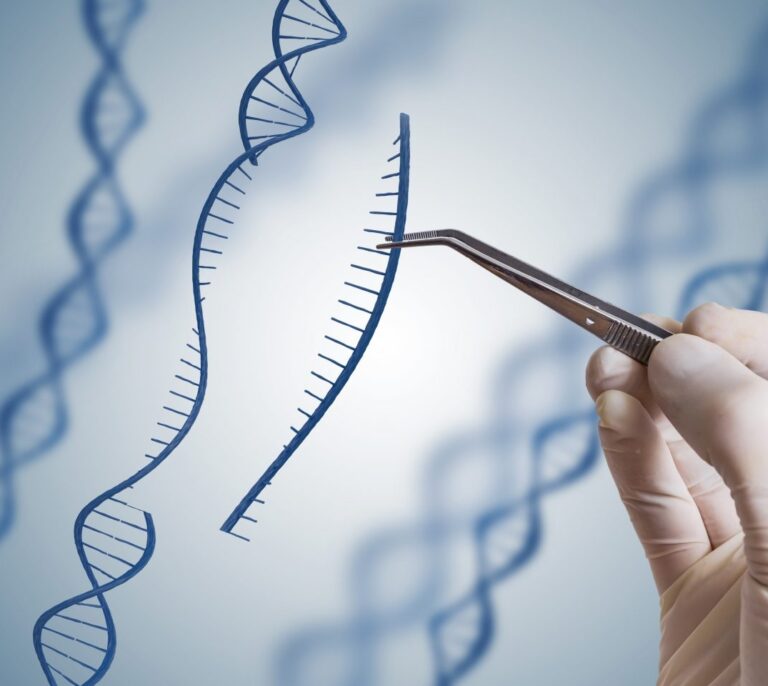 La edición genética con CRISPR muestra seguridad en pacientes con cáncer