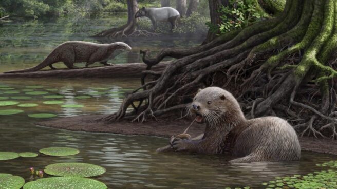 La nutria gigante: una voraz sorpresa de la prehistoria