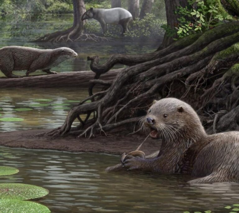La nutria gigante: una voraz sorpresa de la prehistoria