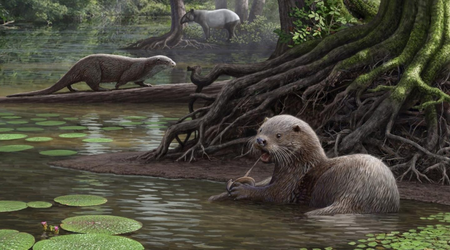 Nutria gigante prehistórica