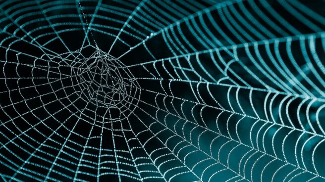 Descubren información privada de 1.200 millones de personas en ficheros filtrados en la Dark Web