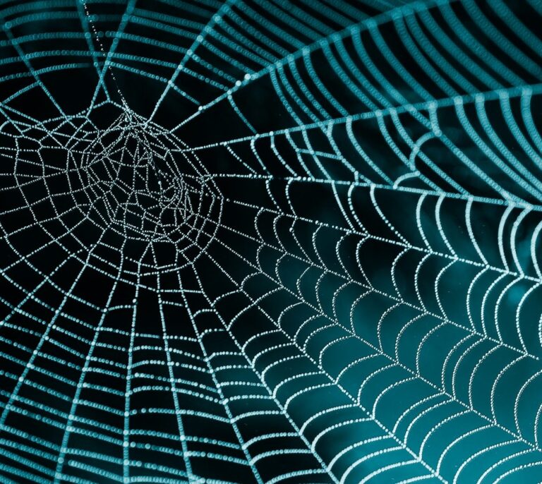 Bruselas se distancia de EEUU y promete mantener la neutralidad de internet