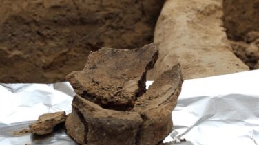 Un vino del Neolítico, el primer caldo de la humanidad