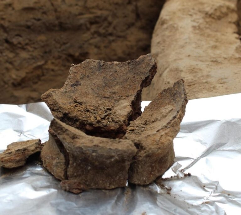 Un vino del Neolítico, el primer caldo de la humanidad