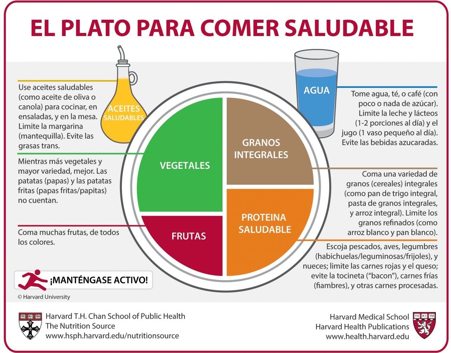 Plato saludable Harvard