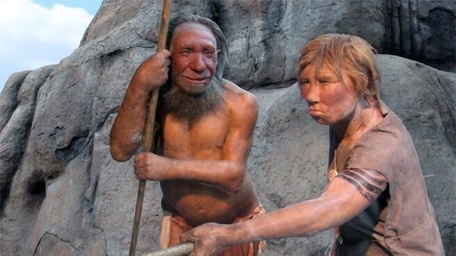 Los neandertales tenían un torax más grande porque consumían más oxígeno