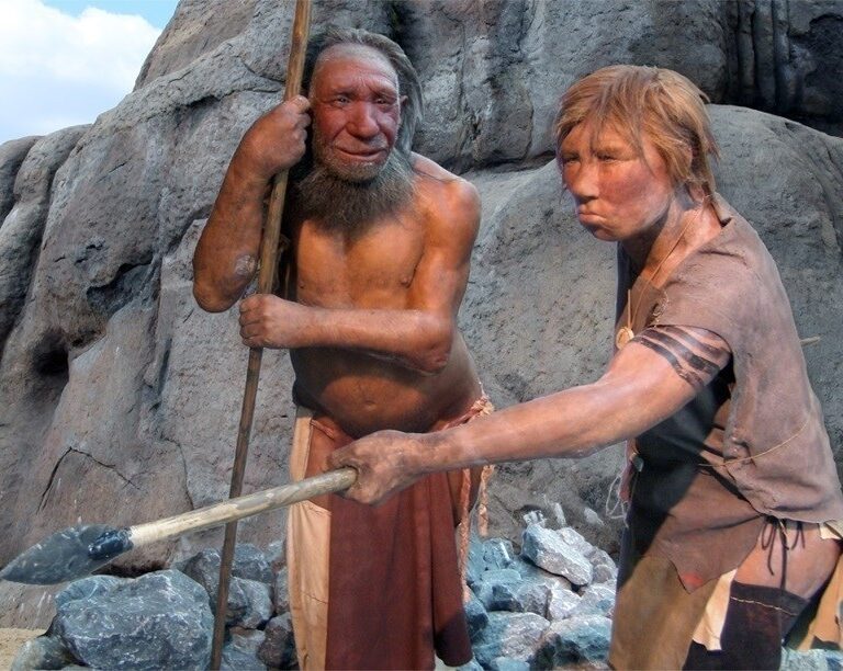 Los neandertales tenían un torax más grande porque consumían más oxígeno