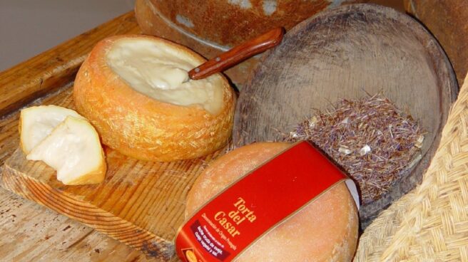 La UE falla que el queso de La Serena (Badajoz) no puede ser 'torta' como la del Casar (Cáceres)