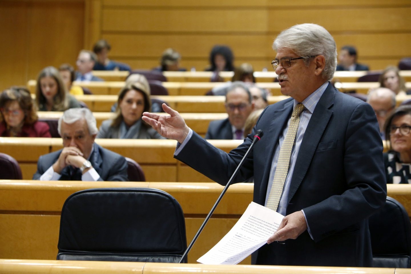 El ministro Dastis, en el Senado.