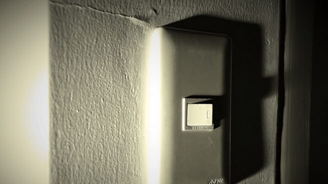 luz zaldi fabia Recibo de luz