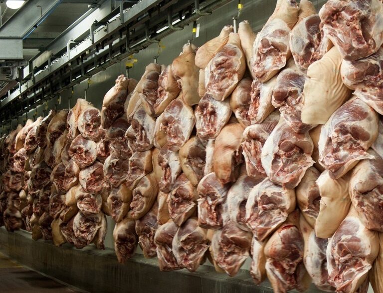 Lleida identifica nuevos focos de coronavirus en varias empresas cárnicas