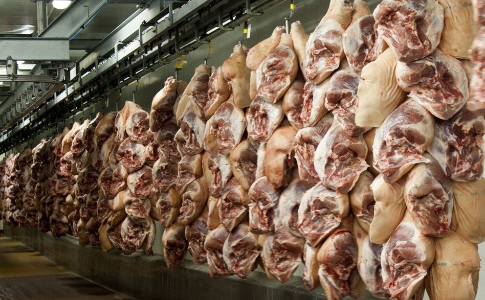 Interior de un matadero cárnico en Cataluña.