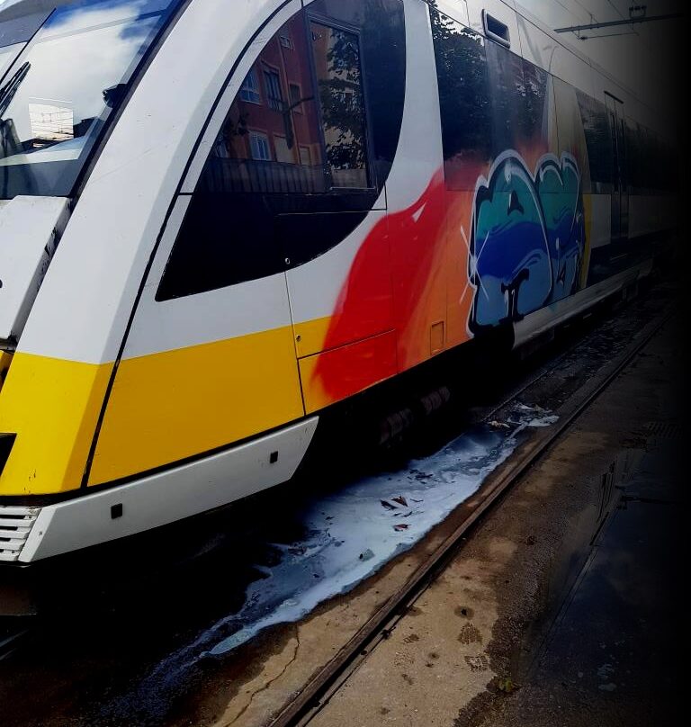 Grafitis en los trenes, un problema para la salud.