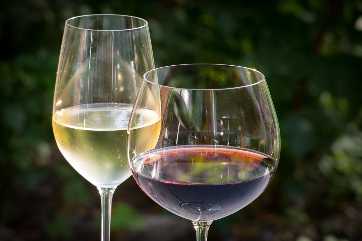 El tamaño (de la copa de vino) importa: con vasos más grandes se bebe un  10% más según un reciente estudio de la Universidad de Cambridge