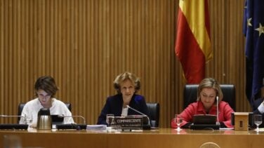Salgado: el Plan E frenó el paro unos meses y dio servicios a discapacitados