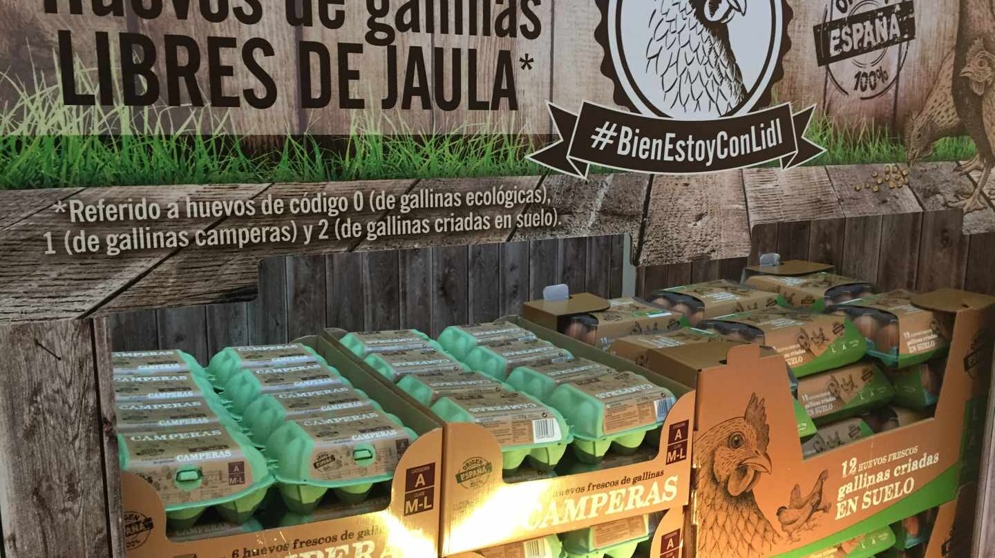 Lidl, primer distribuidor nacional en dejar de vender gallinas criadas en jaula