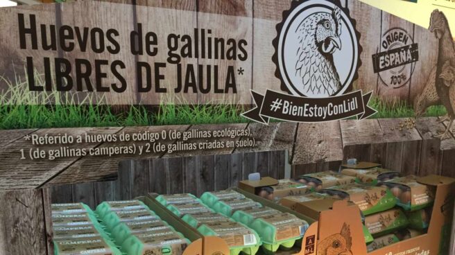 Lidl, primer distribuidor nacional en dejar de vender gallinas criadas en jaula